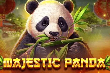 Ilustrasi Sportsbook dan Kasino Online dengan Dana77, tampilan mobile andal